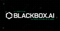 Blackbox AI